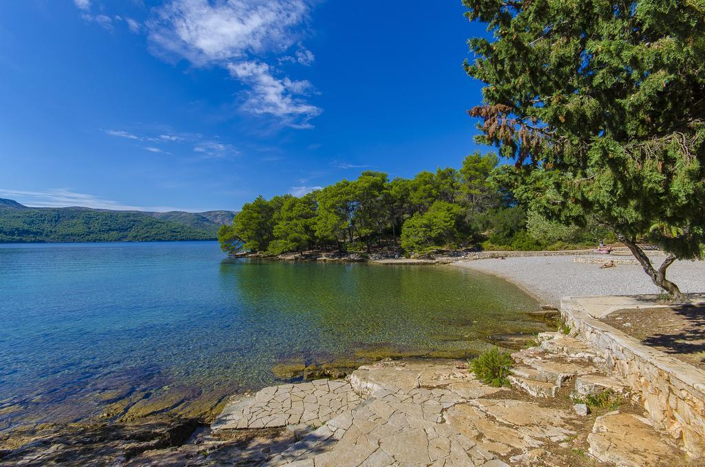Villa House Oliva With Private Pool And Large Garden Stari Grad  Exterior foto